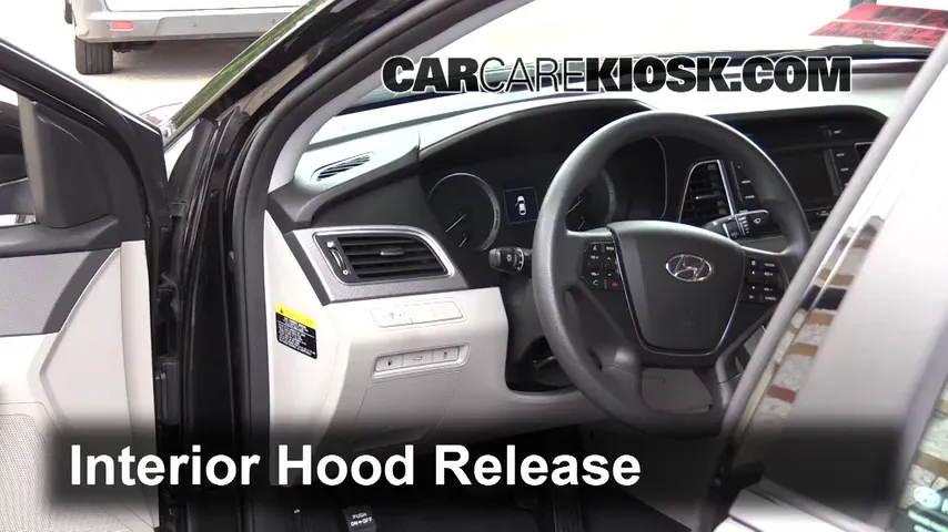 2016 Hyundai Sonata Eco 1.6L 4 Cyl. Turbo Capot